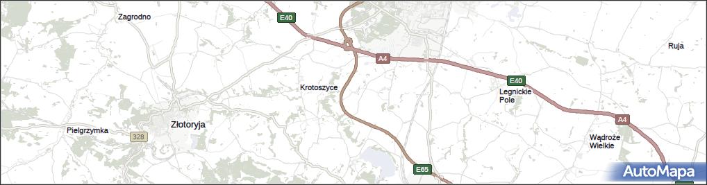 Janowice Duże